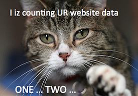 kitty count2